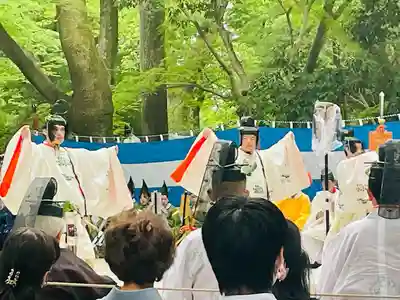 賀茂御祖神社（下鴨神社）(京都府)