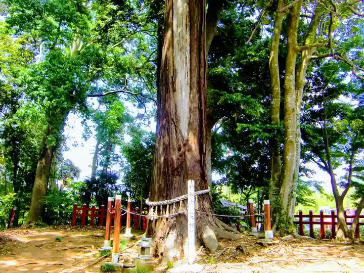 麻賀多神社奥宮の自然