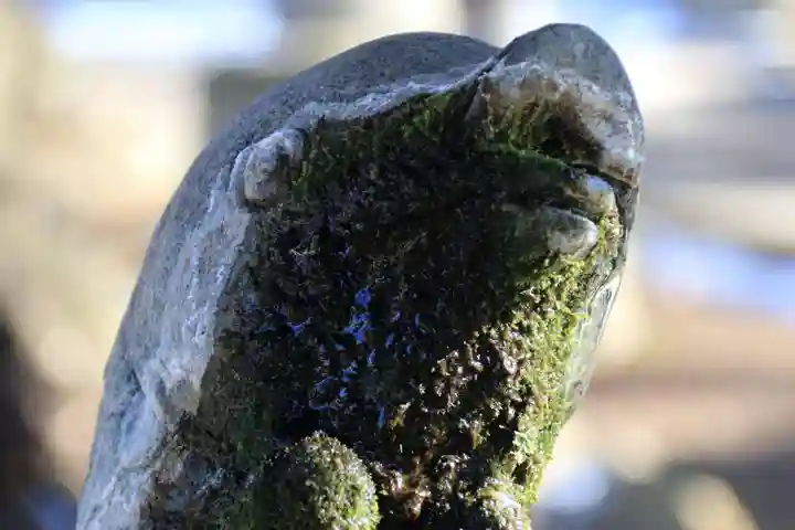 神炊館神社 ⁂奥州須賀川総鎮守⁂の狛犬