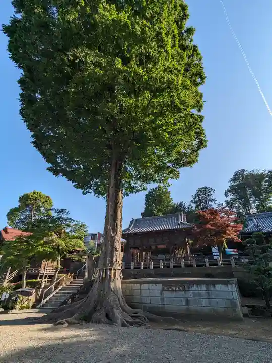 瀧宮神社(埼玉県)