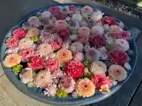 行田八幡神社の{uncategorized: "未分類", other: "その他", undefined: "問題あり", building: "その他建物", grave: "お墓", sacred_gate: "鳥居", guardian: "狛犬", statue: "像", buddha: "仏像", history: "歴史", nature: "自然", garden: "庭園", animal: "動物", pagoda: "塔", temizu: "手水舎", mountain_gate: "山門・神門", sanctuary: "本殿・本堂", subordinate: "末社・摂社", art: "芸術", scenery: "景色", jizo: "地蔵", ema: "絵馬", goshuin: "御朱印", omikuji: "おみくじ", items: "授与品その他", amulet: "お守り", goshuincho: "御朱印帳", eats: "食事", festival: "お祭り", votive_dance: "神楽", shichigosan: "七五三参", wedding: "結婚式", experience: "体験その他", initially: "初詣", around: "周辺", anti_infection: "感染症対策"}