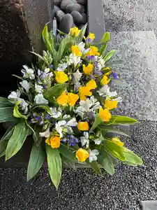 上尾御嶽神社の手水舎(2024年11月03日(日) 16時29分58秒投稿)