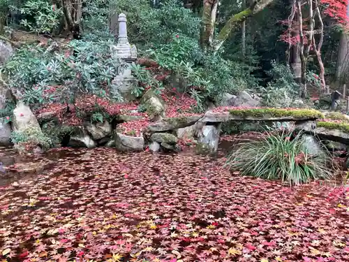 金剛輪寺(滋賀県)