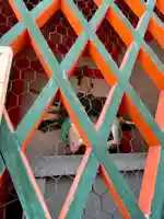 八坂神社(祇園さん)のその他建物