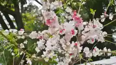 賀茂別雷神社（上賀茂神社）の自然