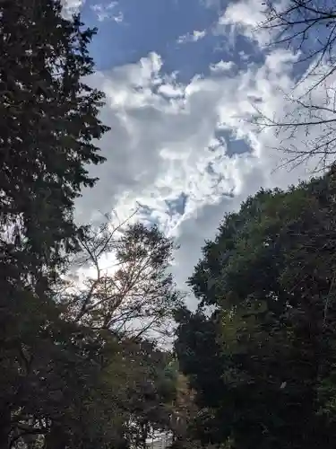 八幡社（柏井町）の自然