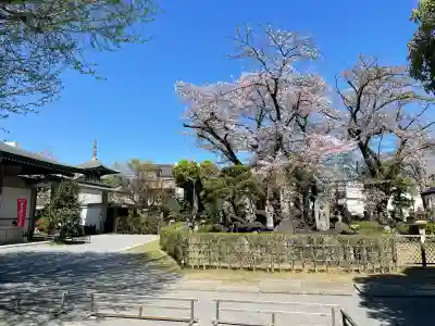 明治寺の{uncategorized: "未分類", other: "その他", undefined: "問題あり", building: "その他建物", grave: "お墓", sacred_gate: "鳥居", guardian: "狛犬", statue: "像", buddha: "仏像", history: "歴史", nature: "自然", garden: "庭園", animal: "動物", pagoda: "塔", temizu: "手水舎", mountain_gate: "山門・神門", sanctuary: "本殿・本堂", subordinate: "末社・摂社", art: "芸術", scenery: "景色", jizo: "地蔵", ema: "絵馬", goshuin: "御朱印", omikuji: "おみくじ", items: "授与品その他", amulet: "お守り", goshuincho: "御朱印帳", eats: "食事", festival: "お祭り", votive_dance: "神楽", shichigosan: "七五三参", wedding: "結婚式", experience: "体験その他", initially: "初詣", around: "周辺", anti_infection: "感染症対策"}