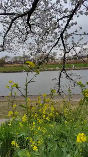 武蔵第六天神社(埼玉県)