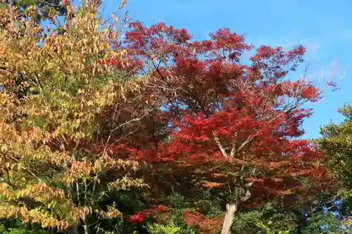 王宮伊豆神社の庭園