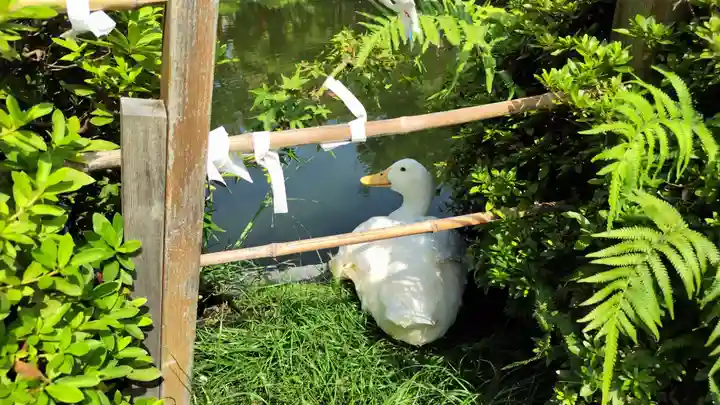 神泉苑(京都府)