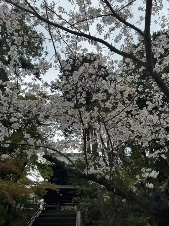 円覚寺(神奈川県)