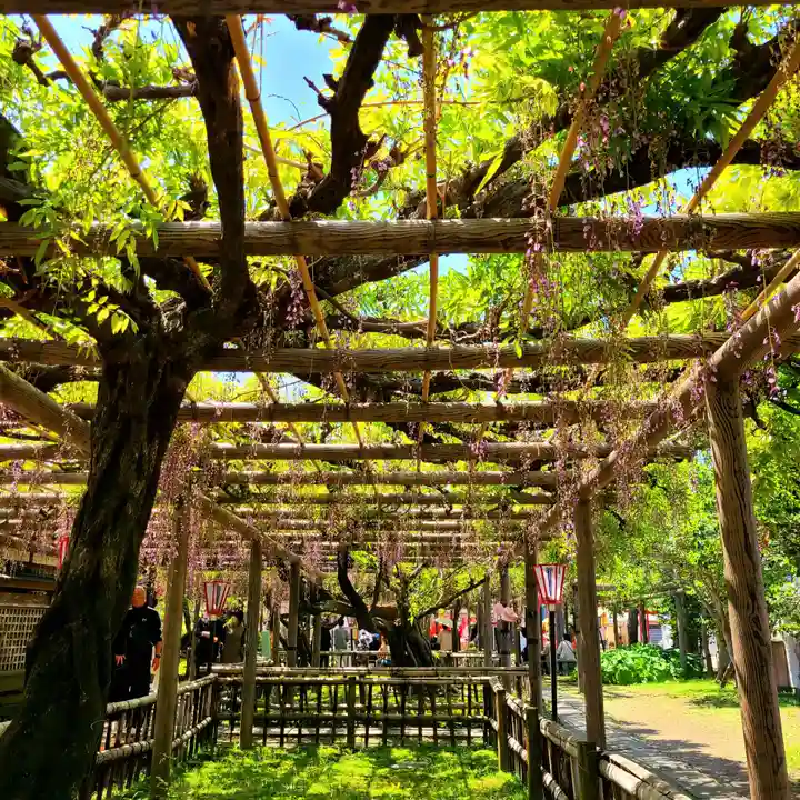 行興寺(静岡県)