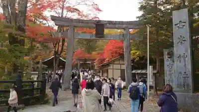 古峯神社の鳥居