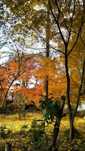 楯縫神社の自然