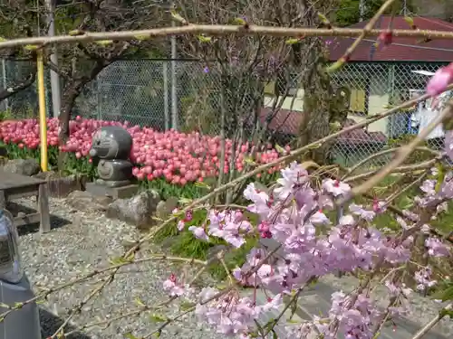 泉蔵寺の庭園