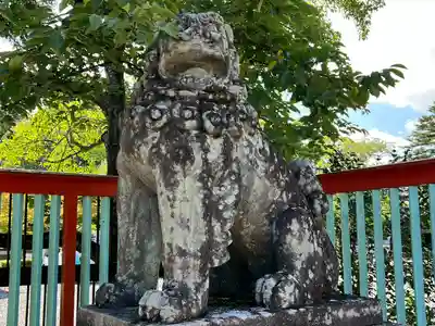 宮城縣護國神社の狛犬