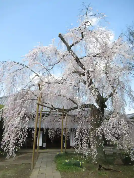慶龍寺(茨城県)