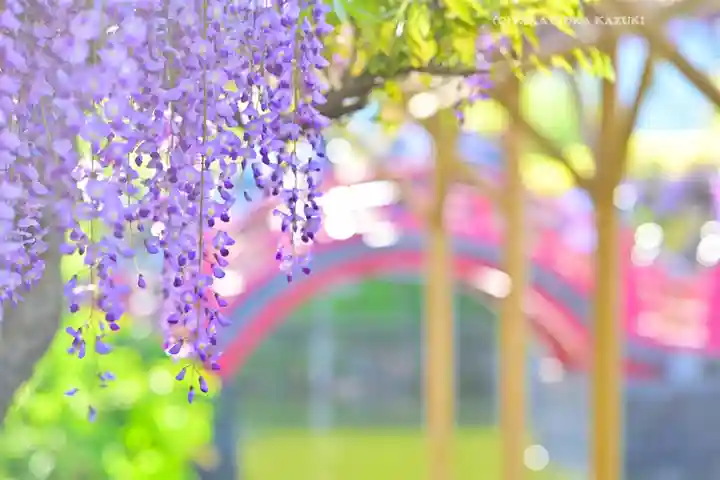 亀戸天神社(東京都)