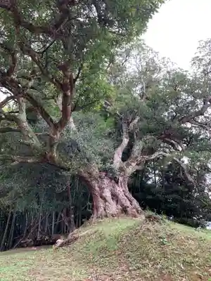 角田権現(千葉県)