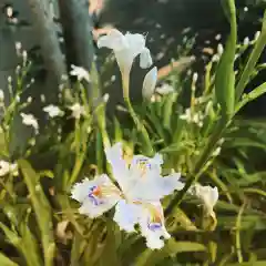 豊景神社の自然