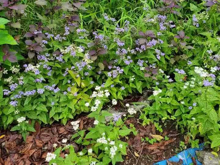 法善寺(埼玉県)