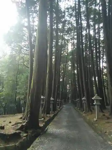 東大野八幡神社の建物その他