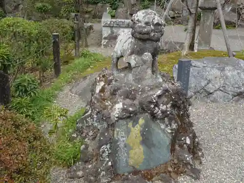 貫井神社の狛犬