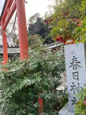 相州春日神社(神奈川県)