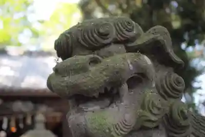 八坂神社の狛犬