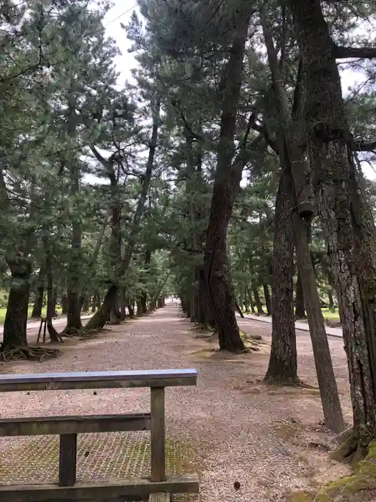 出雲大社(島根県)