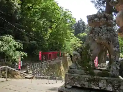 清水寺の狛犬