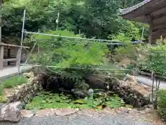 明石寺の庭園