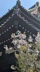 満願寺(京都府)