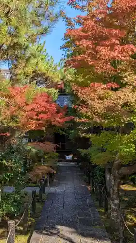 清凉寺(京都府)
