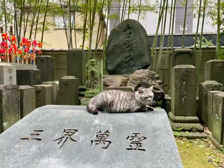 回向院(東京都)