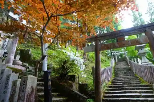 脳天大神龍王院の鳥居