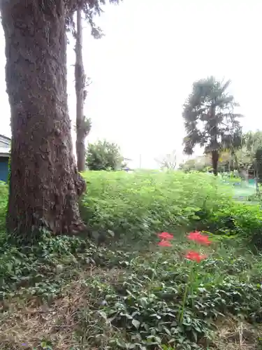 酒門神社(茨城県)