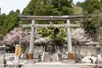 戸隠神社中社(長野県)