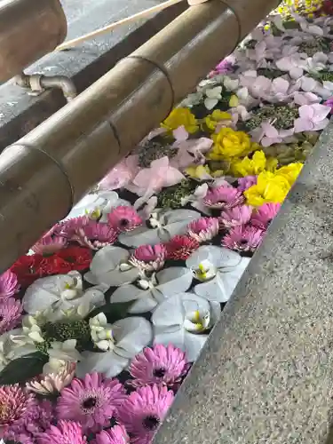 群馬県護国神社(群馬県)