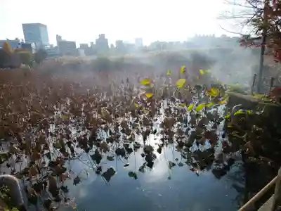 寛永寺不忍池弁天堂(東京都)