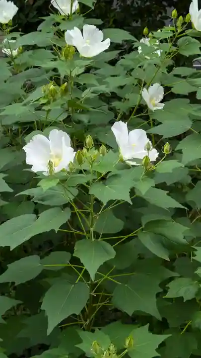 休務寺(京都府)