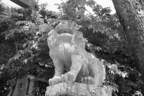 宇治神社の狛犬