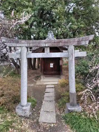 玉敷神社(埼玉県)