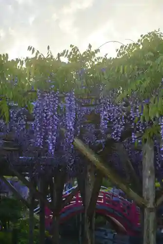 亀戸天神社(東京都)