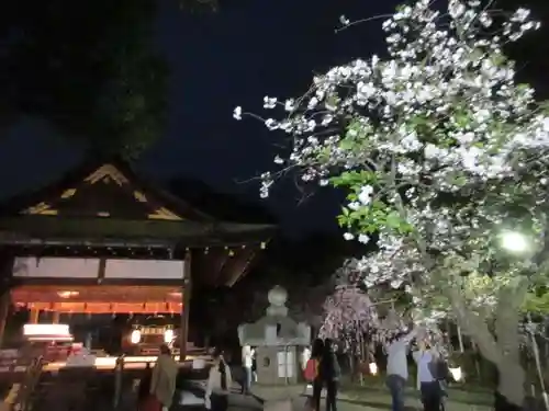 平野神社のその他建物