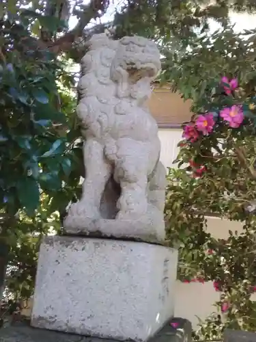 八雲神社（鎌倉・大町）の狛犬