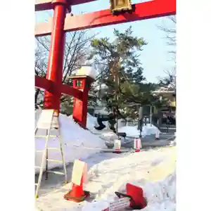 彌彦神社 (伊夜日子神社)の鳥居(2024年02月14日(水) 09時22分28秒投稿)