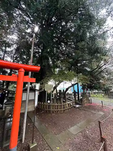 畑子安神社のその他建物