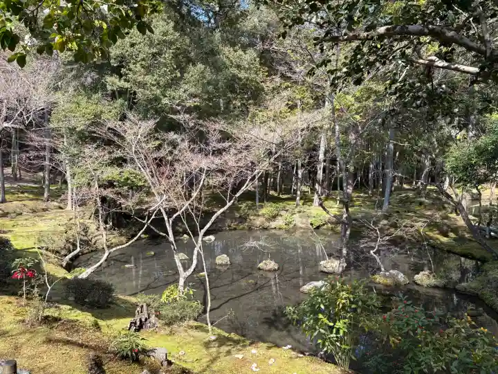 西芳寺の{uncategorized: "未分類", other: "その他", undefined: "問題あり", building: "その他建物", grave: "お墓", sacred_gate: "鳥居", guardian: "狛犬", statue: "像", buddha: "仏像", history: "歴史", nature: "自然", garden: "庭園", animal: "動物", pagoda: "塔", temizu: "手水舎", mountain_gate: "山門・神門", sanctuary: "本殿・本堂", subordinate: "末社・摂社", art: "芸術", scenery: "景色", jizo: "地蔵", ema: "絵馬", goshuin: "御朱印", omikuji: "おみくじ", items: "授与品その他", amulet: "お守り", goshuincho: "御朱印帳", eats: "食事", festival: "お祭り", votive_dance: "神楽", shichigosan: "七五三参", wedding: "結婚式", experience: "体験その他", initially: "初詣", around: "周辺", anti_infection: "感染症対策"}