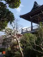 乗蓮寺(東京都)